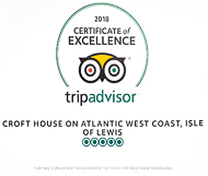 tripadvisor190